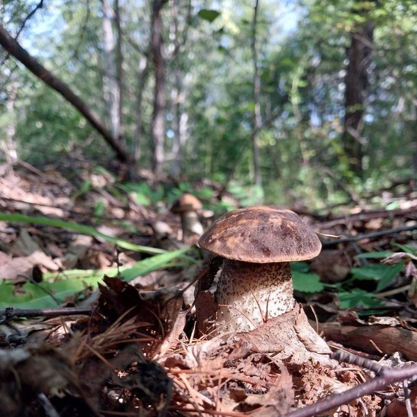 Источник: читатель «Чита.Ру»