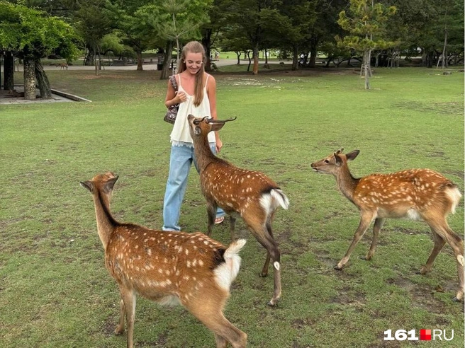 Сдать печенье, сопротивление бесполезно! | Источник: читатель 161.RU