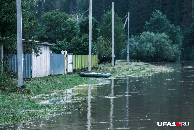 Популярный вид транспорта теперь | Источник: Булат Салихов / UFA1.RU