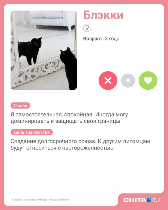 Источник: Юрий Скулыбердин / Городские медиа