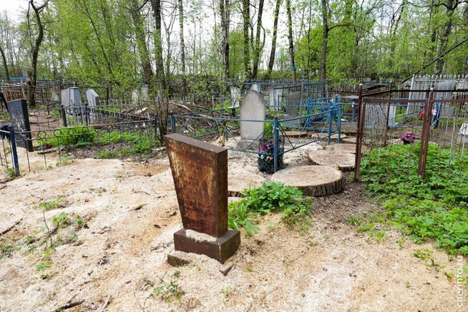 Источник: st.cherinfo.ru