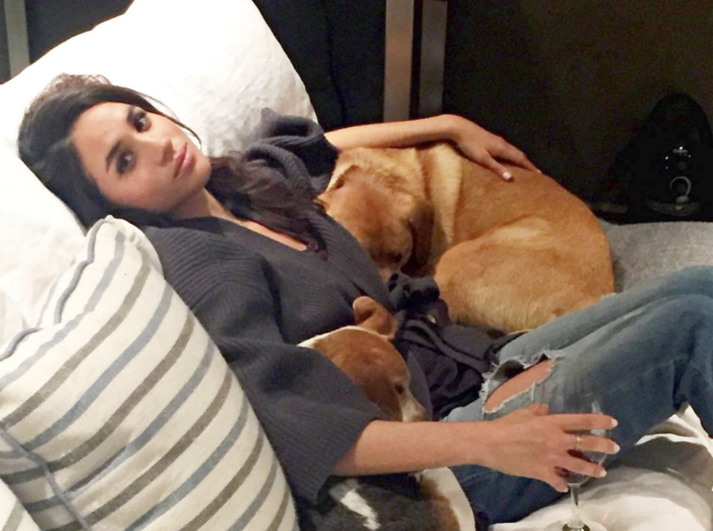 Меган Маркл и ее питомцы, фото из Instagram-аккаунта (запрещенная в России экстремистская организация) девушки | marieclaire.ru