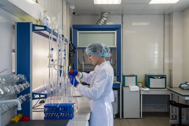 Предприятие высокотехнологичное, здесь применяют инновационные инженерные решения и следят за нормами безопасности | Источник: «Толмачевские продукты»