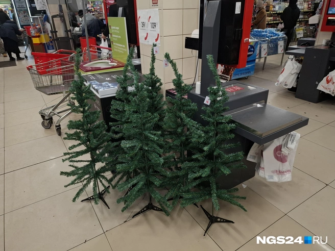 А что еще вы хотели за 300 рублей?  | Источник: Татьяна Зарва / NGS24.RU 