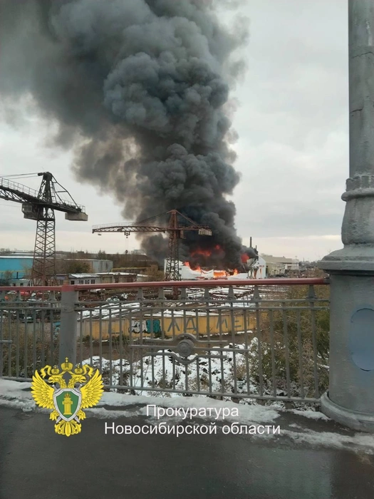 Источник: прокуратура Новосибирской области