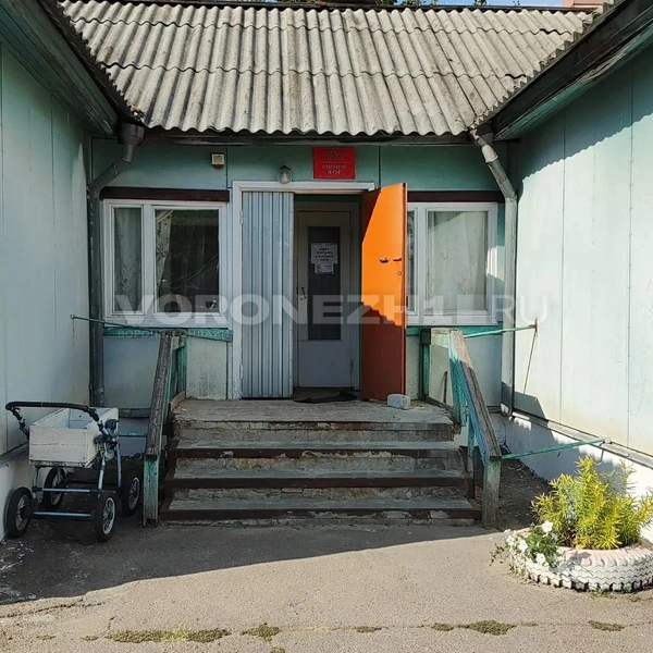 Источник: Татьяна Тельпис / Voronezh1.ru