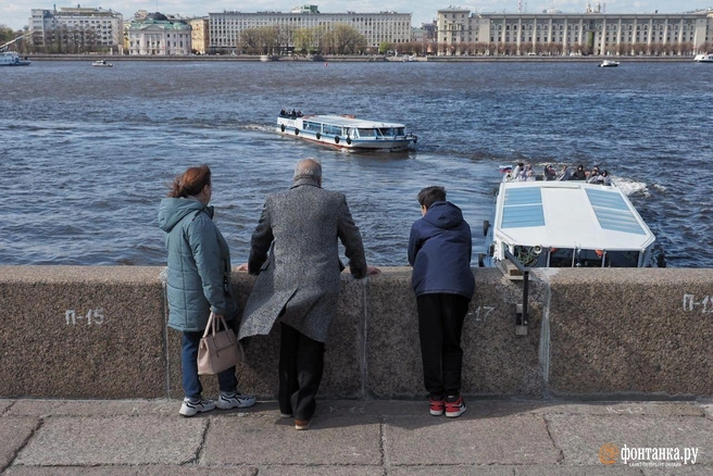 Южные циклоны обещают Петербургу дожди. Но есть хорошая новость | Источник: Михаил Огнев / «Фонтанка.ру»