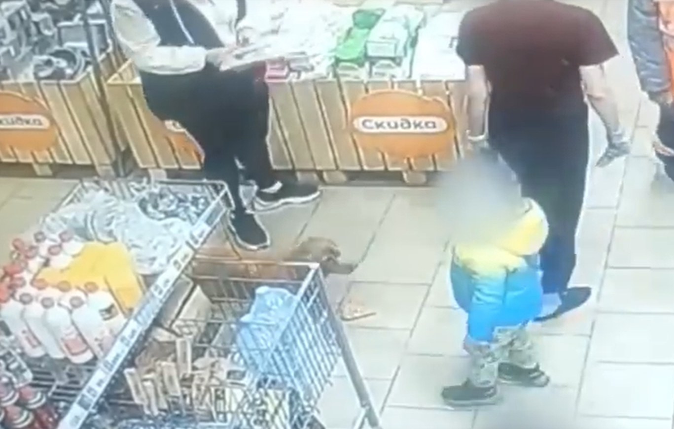 Собака укусила 2-летнего мальчика в супермаркете. В Усть-Илимске оштрафовали администратора магазина