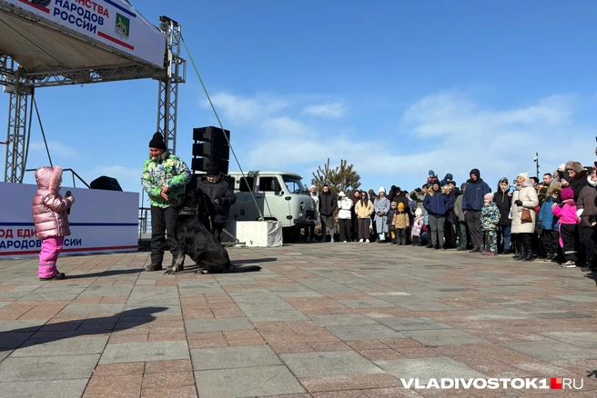 Источник: Елена Буйвол / VLADIVOSTOK1.RU