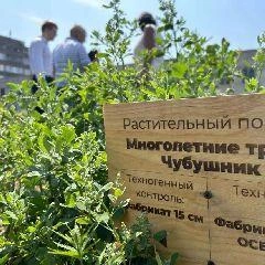 Источник: city-n.ru