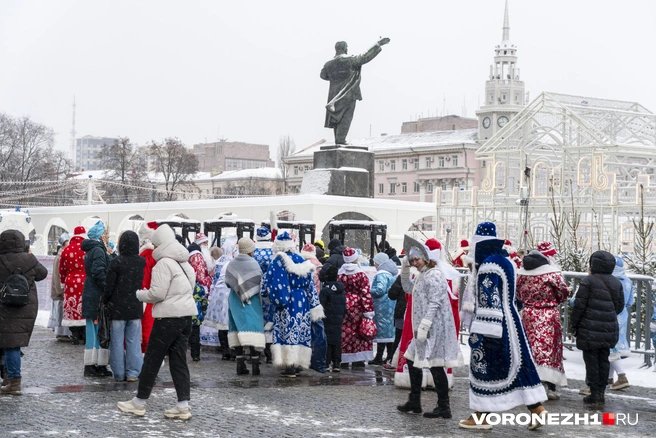 Источник: Дмитрий Волгин / Voronezh1.ru
