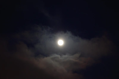 В Воронеже включили сирены из-за угрозы БПЛА