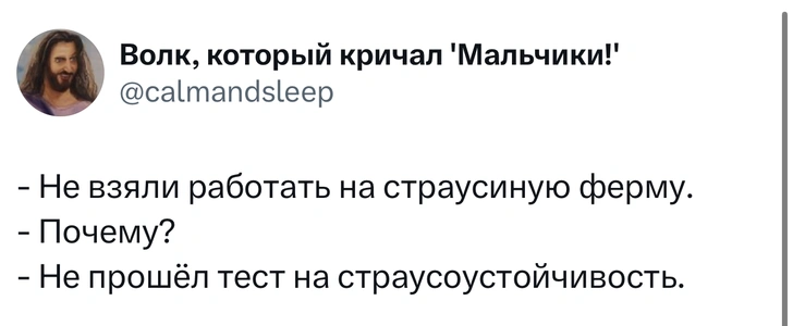 Источник: X (Twitter)