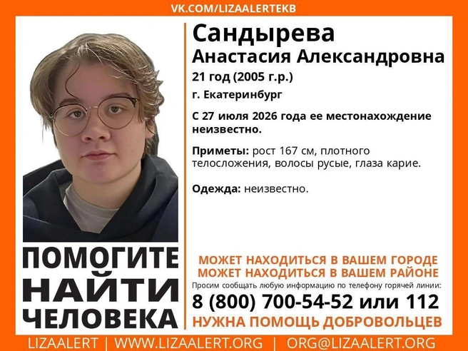 Источник: «ЛизаАлерт»