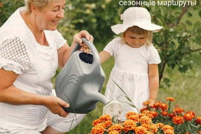 В Хабаровском крае открывается сезон дачных автобусов