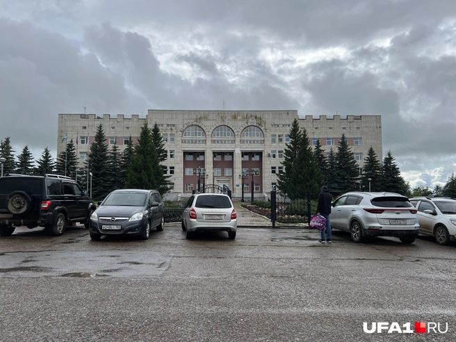 Удивительно серым получился снимок | Источник: Андрей Бирюков / UFA1.RU