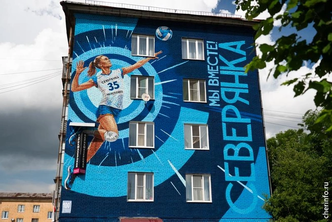 Источник: st.cherinfo.ru