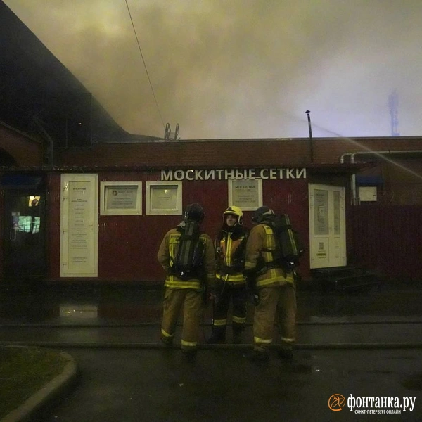 Источник: Павел Даиси / FONTANKA.RU