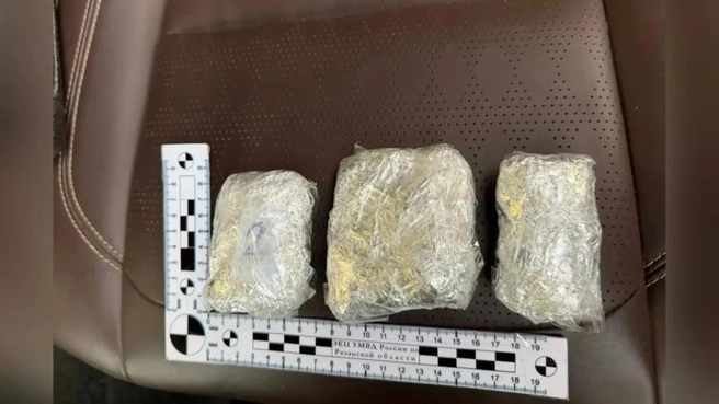 В арендованной квартире полицейские нашли крупную партию запрещенных веществ | Источник: Управление МВД России по Рязанской области