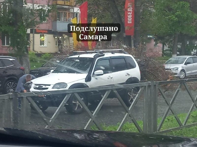 Дерево заблокировало две полосы | Источник: «Подслушано Самара» / T.me