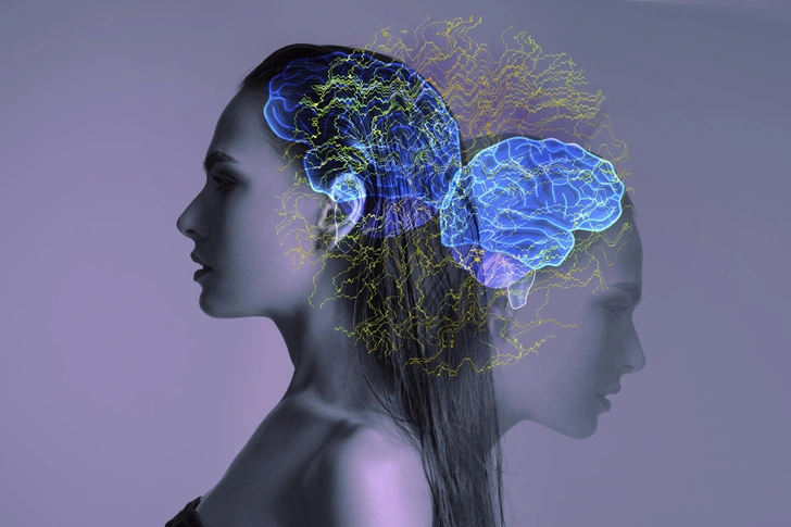 Мозг можно прокачать: как развить память и сохранить ясность мышления в любом возрасте | Источник: Pavlova Yuliia/Shutterstock/Fotodom.ru