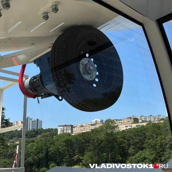 Источник: Елена Буйвол / VLADIVOSTOK1.RU