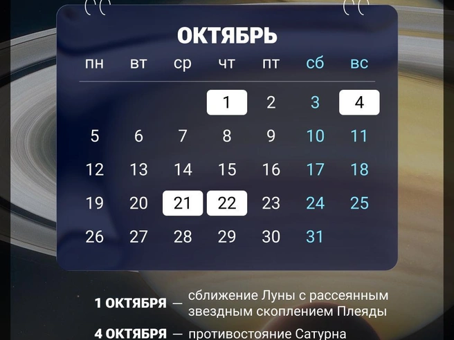 Сделали для вас удобный календарь | Источник: Мария Романова / Городские медиа