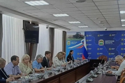 В Приамурье актуализируют дорожную карту моста Джалинда-Мохэ