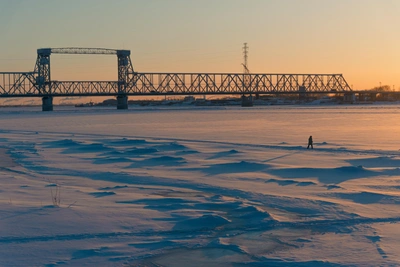 Will Severe Frosts Continue? Weather Forecast for Arkhangelsk Oblast for the Week