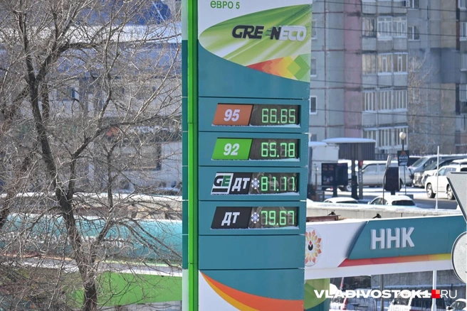 Источник: Елена Буйвол / VLADIVOSTOK1.RU