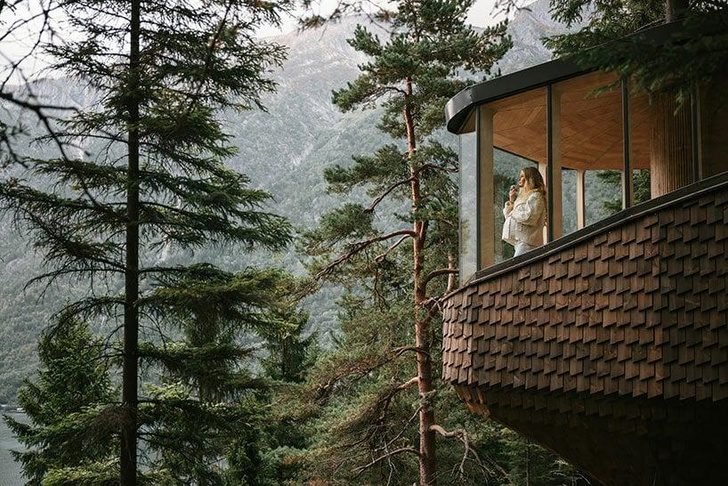 Дома на деревьях в Норвегии