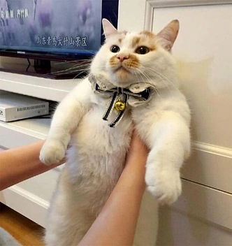 Источник: Соцсети