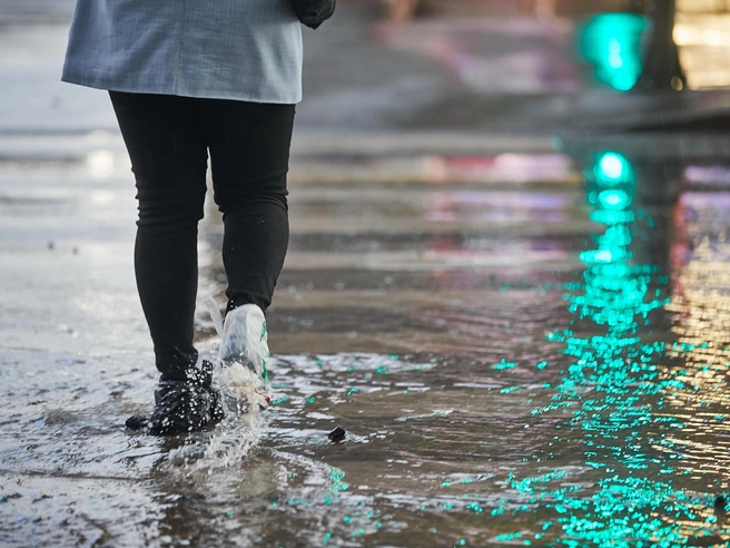 В начале ноября в Новосибирске ожидаются дожди, снежные осадки не прогнозируются. | nsk54.online