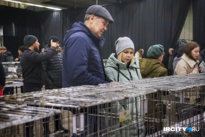 На выставку иркутяне приходили парами | Источник: Алена Кашпарова / «ИрСити»