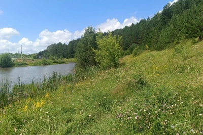 Кузнецк: купание в водоемах опасно