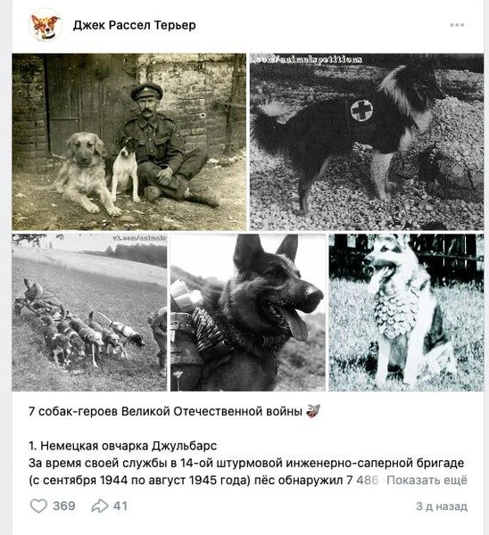 Источник: ВКонтакте
