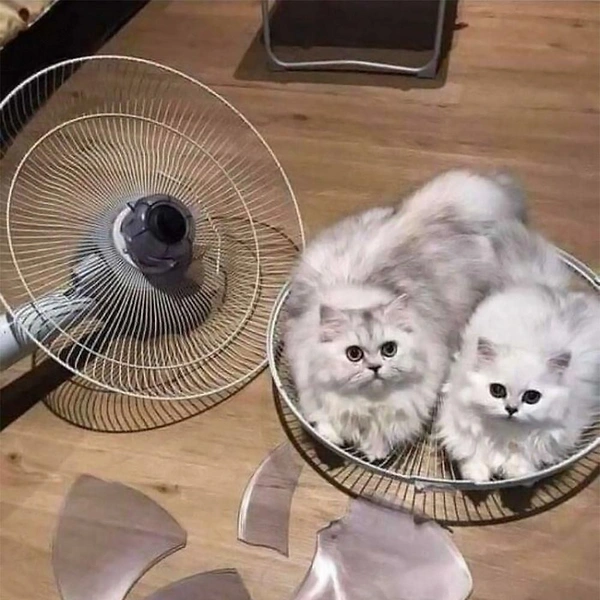 Источник: соцсети