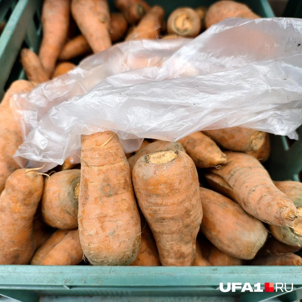 Источник: Булат Салихов / UFA1.RU