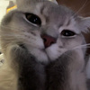 userpic__belyaevamilana1111