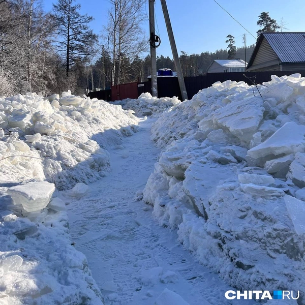 Источник: Александр Хамраев / CHITA.RU