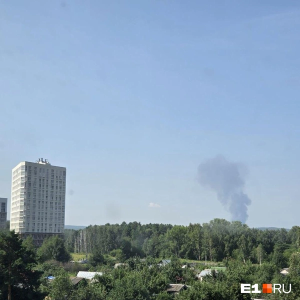Источник: читатель E1.RU