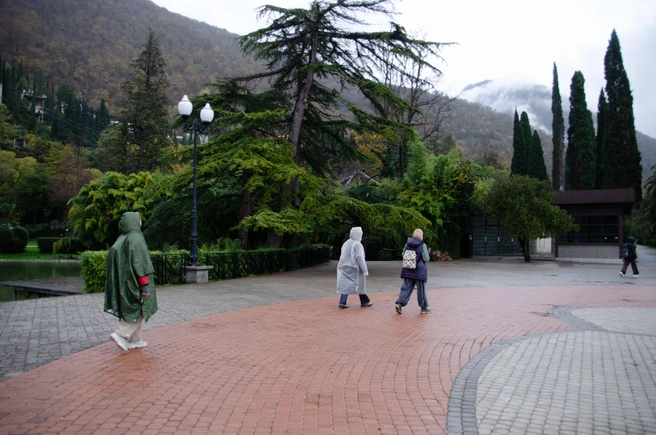 Идеальная экипировка для абхазской зимы. Дождевик, зонт и хорошее настроение | Источник: Оксана Витяpь / SOCHI1.RU