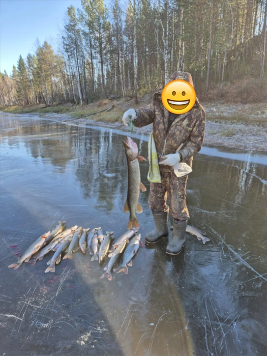 Самая крупная рыбина&nbsp;— на 4&nbsp;кг | Источник: Рыбалка в Сургуте [Fishing ХМАО] / Vk.com