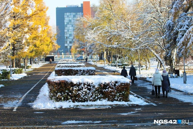 В некоторых районах области земля покроется снегом | Источник: Игорь Епифанцев / NGS42.RU