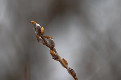 Погода в Алтайском крае 18 апреля: потепление до +14°C