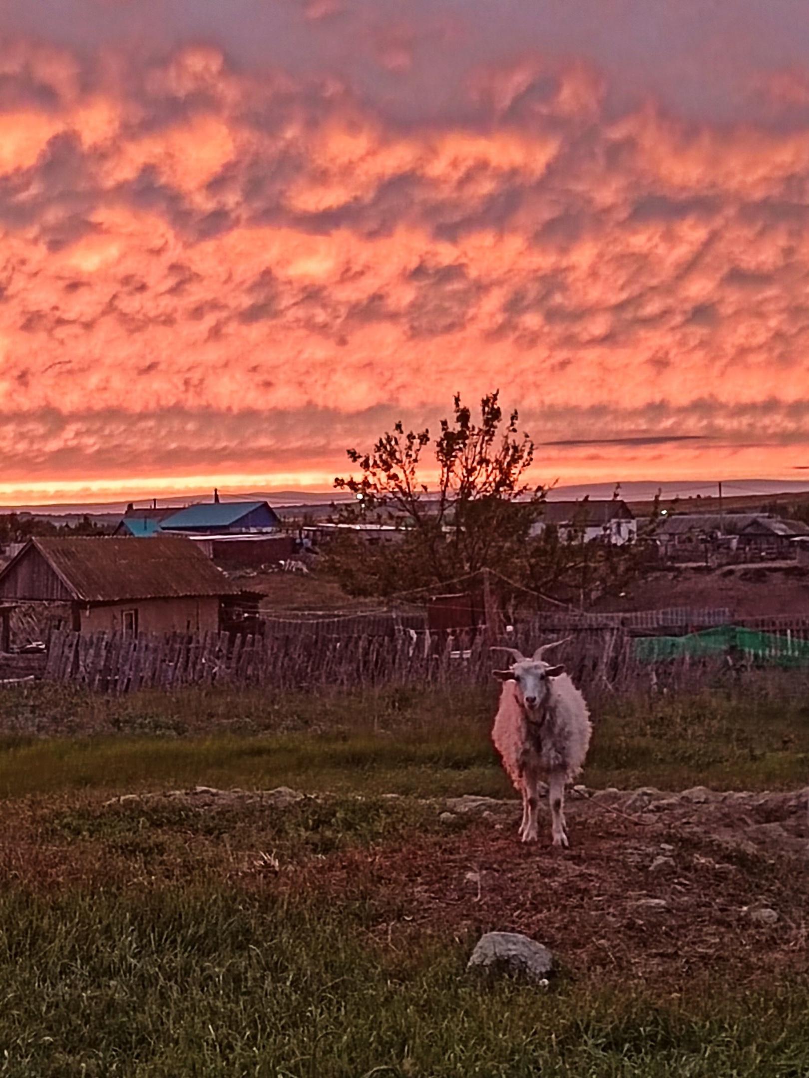«В городе таких нет». Фотограф-любитель показал зрелищный закат в станице под Волгоградом — видео