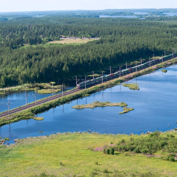 Источник: Kekyalyaynen/Shutterstock/Fotodom.ru