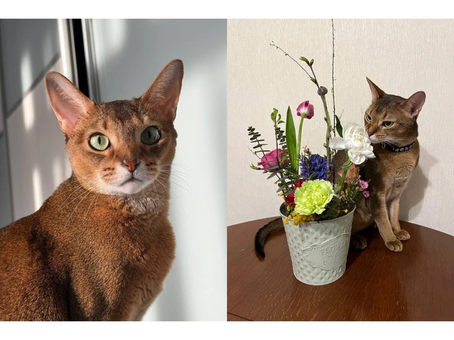 Ему было 2 мес, когда взяли, сейчас ему 4 | Источник: читательница Олеся