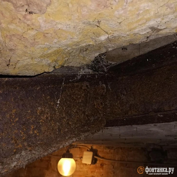 Источник: «Фонтанка.ру»