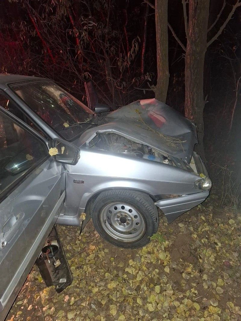 Источник: УМВД России по Оренбургской области